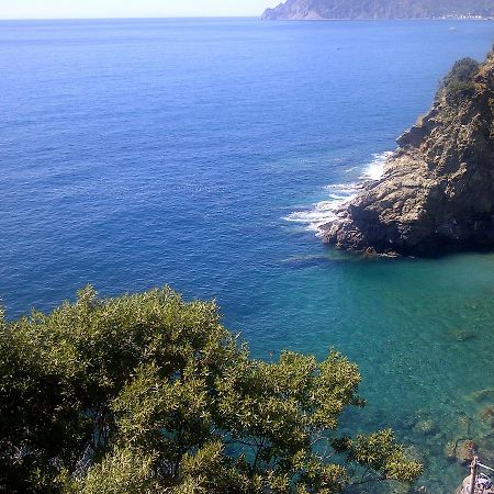 Terre Apartment Corniglia Dış mekan fotoğraf