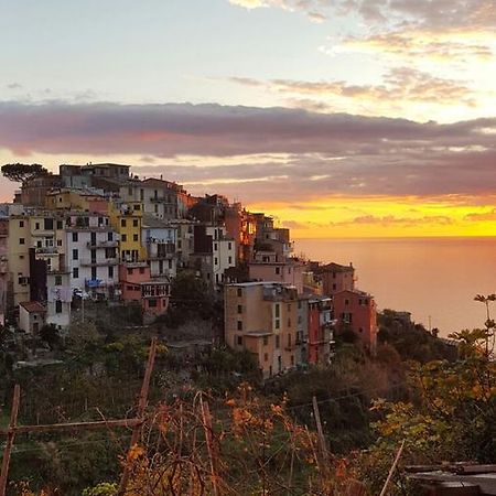 Terre Apartment Corniglia Dış mekan fotoğraf