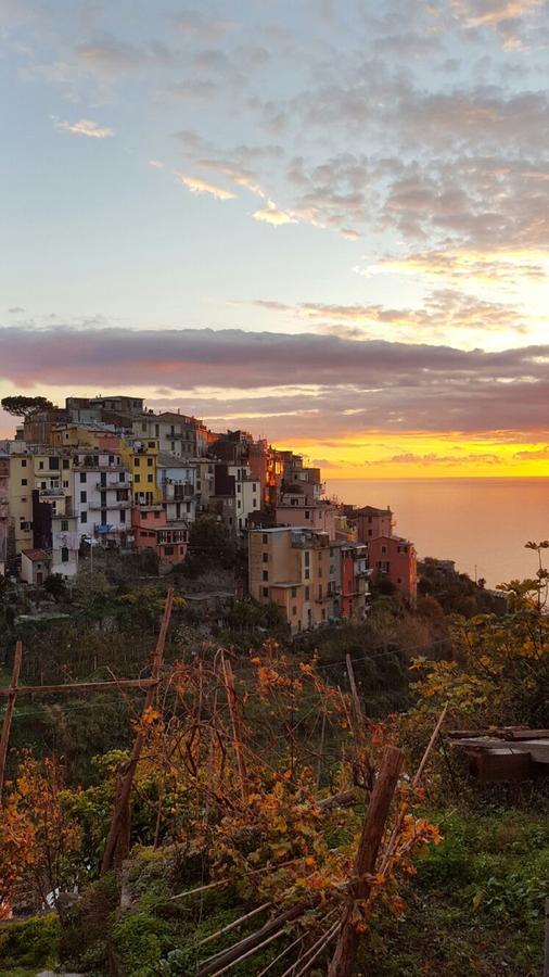 Terre Apartment Corniglia Dış mekan fotoğraf