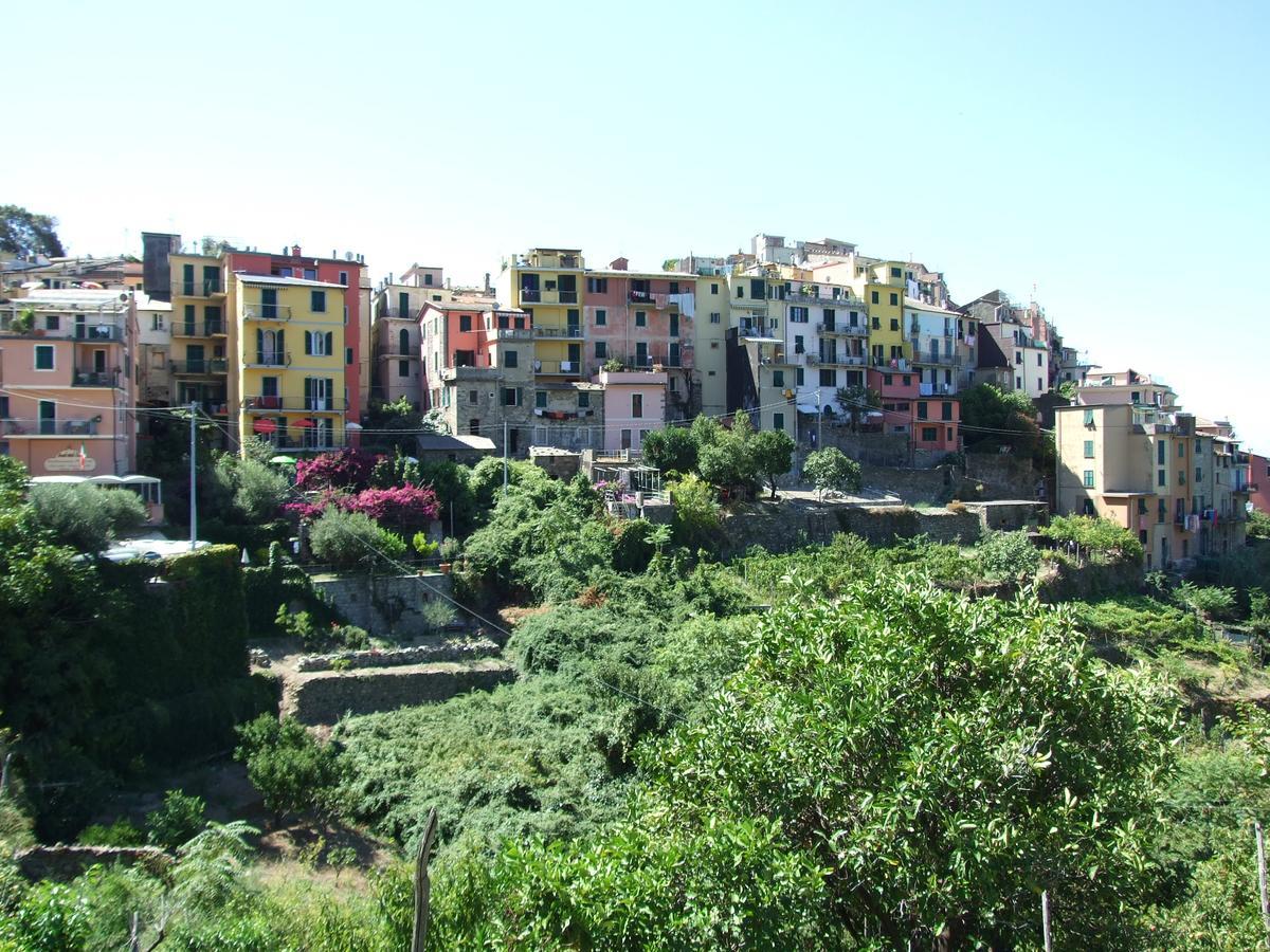 Terre Apartment Corniglia Dış mekan fotoğraf