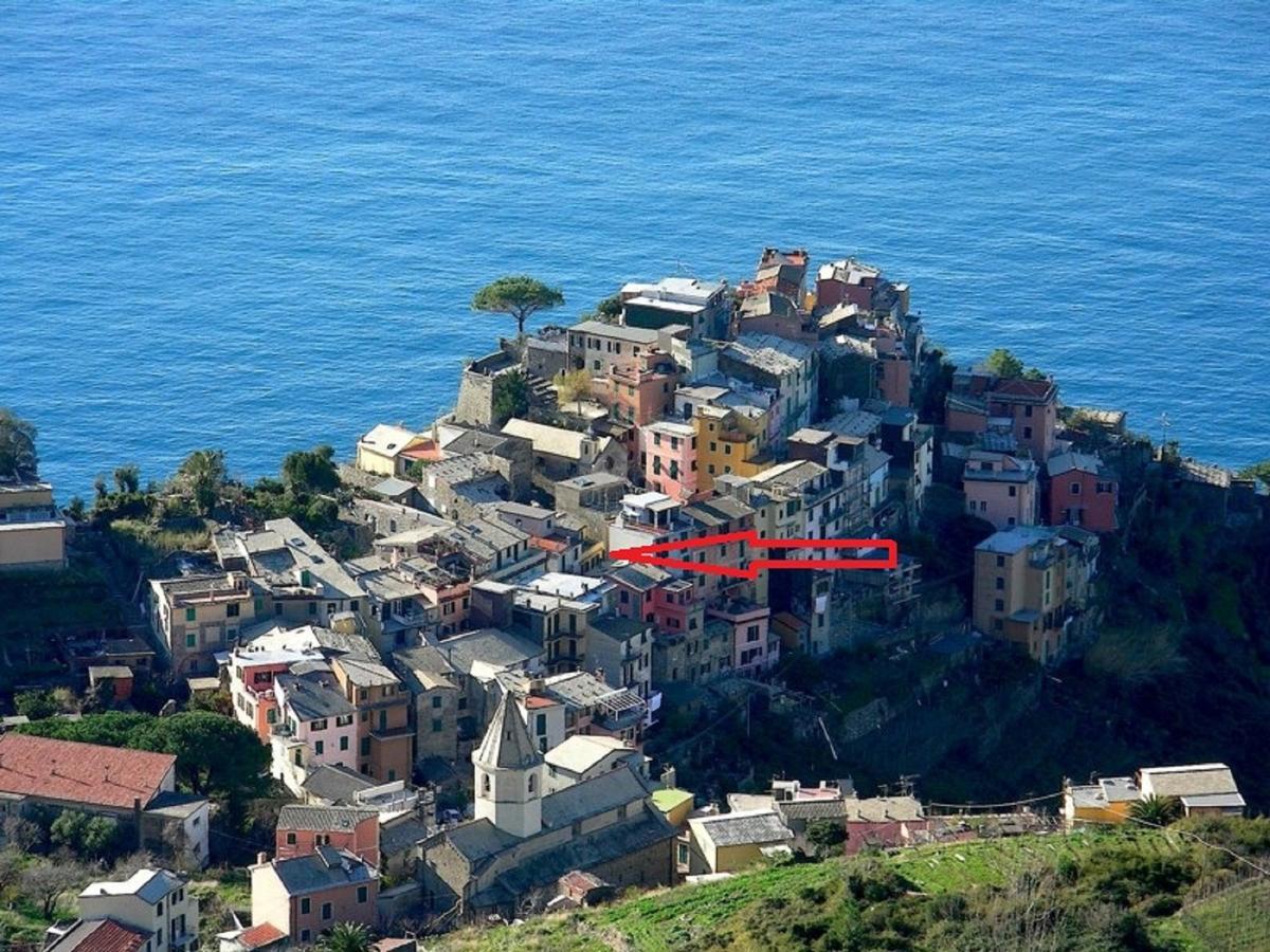 Terre Apartment Corniglia Dış mekan fotoğraf